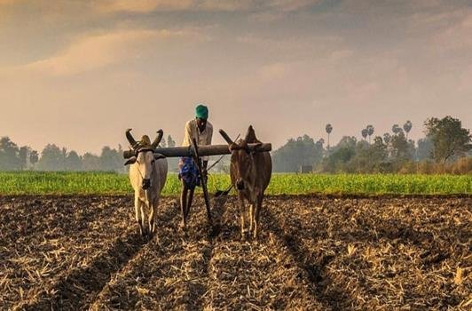भारतीय कृषि के विकास में संस्थागत अवरोध