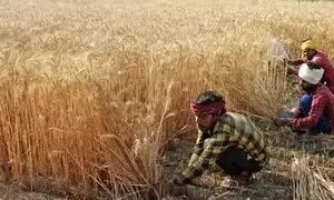जलवायु संबंधी झटकों से निपटने के लिए भारत पाकिस्तान से बेहतर तरीके से तैयार:वैज्ञानिक