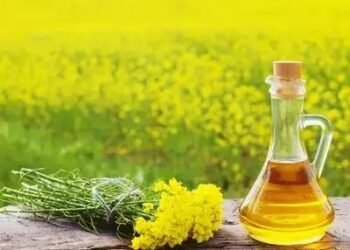 जानें क्यों 1 हफ्ते में 10% गिरे तेल के दाम, MSP से नीचे खरीदी जा रही सरसों…..