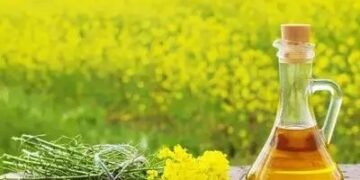 जानें क्यों 1 हफ्ते में 10% गिरे तेल के दाम, MSP से नीचे खरीदी जा रही सरसों…..
