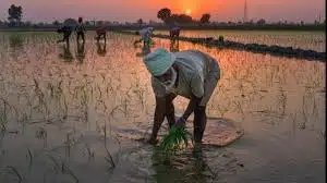 उत्तर प्रदेश सरकार ने किसानों के लिए की नई पहल , जल संकट से निपटने के लिए इस योजना का होगा विस्तार