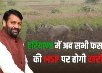 हरियाणा के किसानों को बड़ा तोहफा, सभी फसलों पर MSP देने वाला बना पहला राज्य