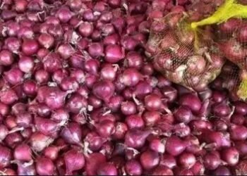 यूपी, राजस्थान, एमपी में क्या है प्याज का मंडी भाव, पढ़ें पूरी खबर..