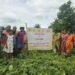 KVK सिपाहीजला द्वारा सेसम की वैज्ञानिक खेती पर किसान जागरूकता कार्यक्रम का आयोजन किया गया