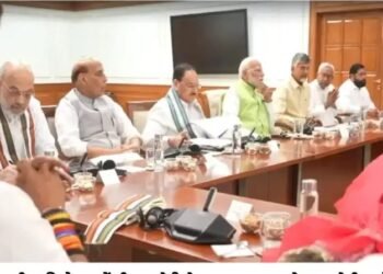 लोकसभा चुनाव के परिणाम का असर एनडीए की बैठक में भी देखने को म‍िला.