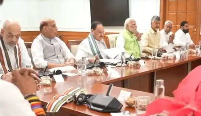 लोकसभा चुनाव के परिणाम का असर एनडीए की बैठक में भी देखने को म‍िला.