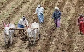 जल्द पूरे करा लें ये काम नहीं तो अटकी रह जाएगी पीएम किसान की 19वीं किस्त!