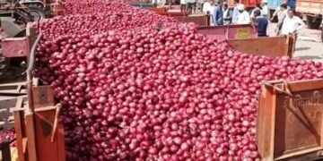 आलू- प्याज पर रोक लगाने से हुआ 12 करोड़ का नुकसान, बंगास सरकार ने लगाई थी रोक