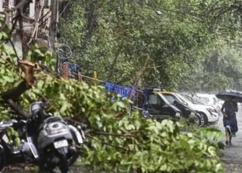 2 मौतें, 23 लोग जख्मी और कई पेड़ उखड़े, दिल्ली में रात को आए तूफान ने मचाया कोहराम