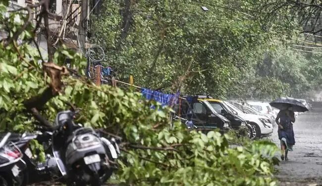 2 मौतें, 23 लोग जख्मी और कई पेड़ उखड़े, दिल्ली में रात को आए तूफान ने मचाया कोहराम