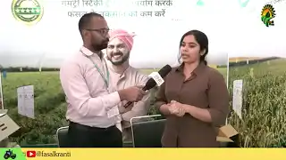 जानिए कैसे खेत में काम करेगा GUMTREE का यह ट्रैप