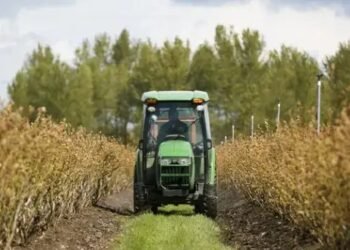 पीएम किसान योजना की 19वीं किस्त का लेना है लाभ तो जल्द पूरी करें e-KYC, इस तारीख को होगी जारी!