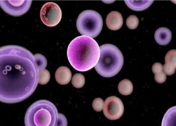 गुर्दे के कैंसर के चिकित्सा समाधान की दिशा में वैज्ञानिकों ने एक महत्वपूर्ण खोज