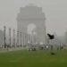 इन राज्यों में शीतलहर, IMD ने जारी किया मौसम अपडेट, पढ़ें पूरी खबर..