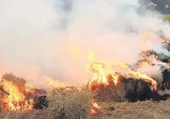 पंजाब हरियाणा में पराली जलाने से चंडीगढ़ की हवा हो रही दूषित, पढ़ें रिपोर्ट!