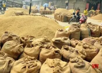 छत्तीसगढ़ में इस वर्ष के लिए 160 लाख धान की खरीद का टार्गेट!