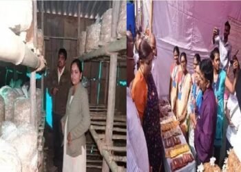सिविल इंजीनियर मशरूम की खेती कर सफल महिला उद्यमी बनीं