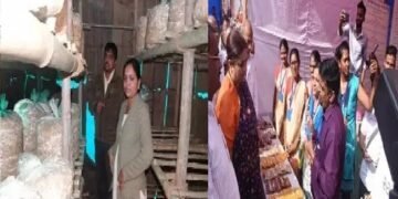 सिविल इंजीनियर मशरूम की खेती कर सफल महिला उद्यमी बनीं