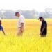 खेती को युवाओं के लिए बना रहे हैं आकर्षक करियर विकल्प, सरकार की कई योजनाएं दे रहीं नई दिशा