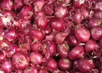 केंद्र ने किया प्याज से 20% निर्यात शुल्क हटाने का ऐलान, जानें क्या है मामला?