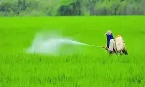 पीएम-किसान के तहत लाभ राशि बढ़ाने का कोई प्रस्ताव नहीं: सरकार