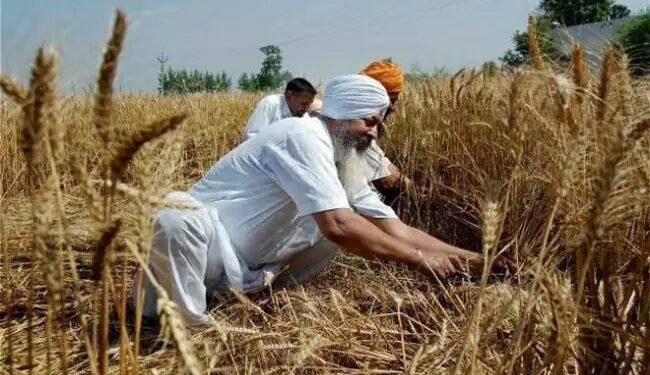 झारखंड: पीएम मोदी ने किसानों से किया बड़ा वादा, धान की MSP में होगी बढ़ोतरी