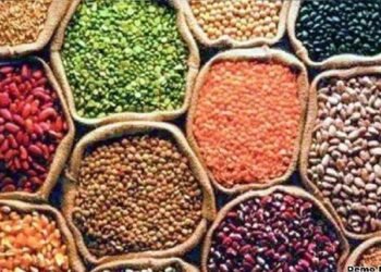 पिछले 10 वर्षों में दालों का उत्पादन 60 प्रतिशत बढ़ा है: पीयूष गोयल