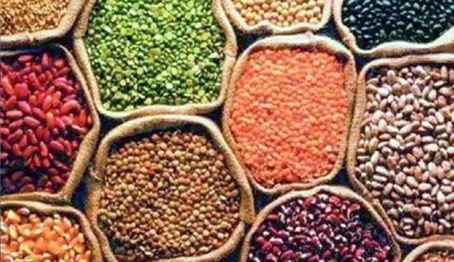 पिछले 10 वर्षों में दालों का उत्पादन 60 प्रतिशत बढ़ा है: पीयूष गोयल