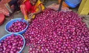 प्याज की कीमतें ऊंची बनी रहेंगी- आईसीआईसीआई बैंक