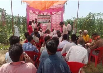 कृषि विज्ञान केंद्र हापुड़, ने आयोजित किया टेली एग्रीकल्चर