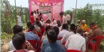 कृषि विज्ञान केंद्र हापुड़, ने आयोजित किया टेली एग्रीकल्चर