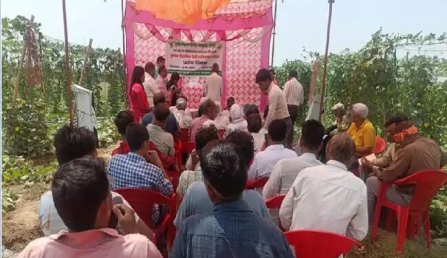 कृषि विज्ञान केंद्र हापुड़, ने आयोजित किया टेली एग्रीकल्चर