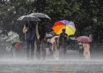 भारी बारिश की चेतावनी: IMD ने किसानों के लिए जारी की एडवाइजरी, फसल और पशुधन बचाने के दिए टिप्स