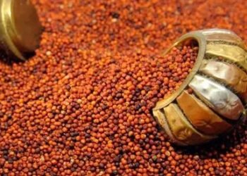 इस राज्य की महिलाओं को मिलेंगे मुफ्त सरसों के बीच, जानें पूरी डिटेल!