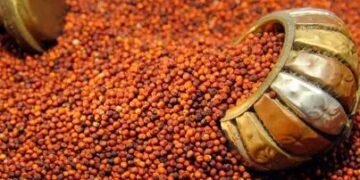 इस राज्य की महिलाओं को मिलेंगे मुफ्त सरसों के बीच, जानें पूरी डिटेल!
