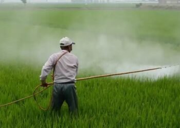 जर्मन कंपनी बायर और सेफेक्स केमिकल्स ने मिलाया हाथ, छोटे किसानों को मिलेगा लाभ