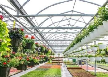 हरियाणा सरकार का बर्मिंघम विवि के साथ MoU, स्टोरेज बागवानी में किसानों को मिलेगा लाभ!