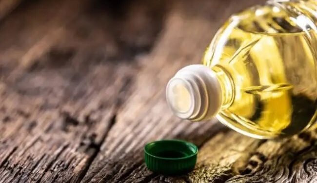 छत्तीसगढ़ में पाम ऑयल की खेती से किसानों की आय में क्रांति, सरकार दे रही भरपूर सब्सिडी और प्रशिक्षण