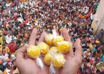 मथुरा में लड्डू मार होली के दौरान मचा हड़कंप, कई लोग घायल
