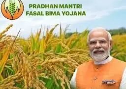 गुजरात, बिहार फिर से फसल बीमा से जुड़ेंगे