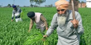 महाराष्ट्र किसानों ने MSP पर खरीद को लेकर उठाई आवाज, जानें पूरा मामला!