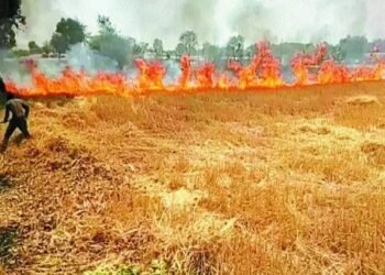 देवरिया के कई गांवों में आग से भयंकर नुकसान, जल गई गेहूं की फसल