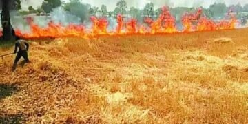 देवरिया के कई गांवों में आग से भयंकर नुकसान, जल गई गेहूं की फसल