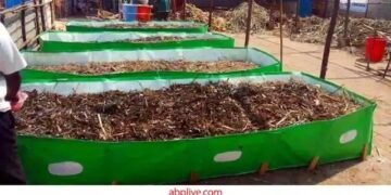 करें वर्मी कंपोस्ट की खरीद, फ्री मिलेगी गार्डनिंग किट, जल्द उठाएं ऑफर का लाभ