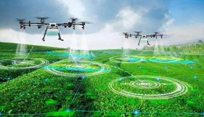 100 रुपये प्रति एकड़ के रेट पर होगा ड्रोन से स्प्रे, इतना खर्च देगी सरकार