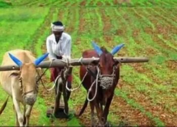 ग्रामीण अर्थव्यवस्था पर ध्यान केन्द्रित, लेकिन प्रमुख योजनाओं का व्यय स्थिर