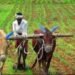 ग्रामीण अर्थव्यवस्था पर ध्यान केन्द्रित, लेकिन प्रमुख योजनाओं का व्यय स्थिर