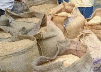 MSP पर गेहूं बिक्री के लिए 15 लाख किसानों ने कराया रजिस्ट्रेशन, इन राज्यों में शुरु होगी खरीद प्रक्रीया!