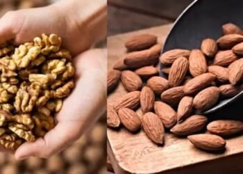 अमेरिका राष्ट्रपति ने किया टैरिफ का ऐलान, जानें क्या होगी इंपोर्ट ड्यूटी?