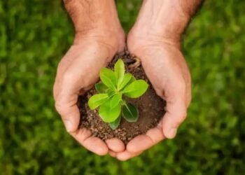 क्या है Sustainable Agriculture, कैसे मजबूत हुई पहचान, और क्या है भविष्य और चुनौतियां
